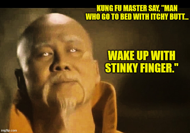 Master Po says | KUNG FU MASTER SAY, "MAN WHO GO TO BED WITH ITCHY BUTT... WAKE UP WITH STINKY FINGER." | image tagged in master po says | made w/ Imgflip meme maker