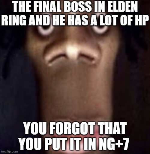 Quandale dingle | THE FINAL BOSS IN ELDEN RING AND HE HAS A LOT OF HP; YOU FORGOT THAT YOU PUT IT IN NG+7 | image tagged in quandale dingle | made w/ Imgflip meme maker
