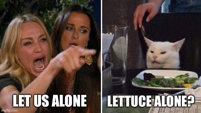 Angry lady cat | LET US ALONE; LETTUCE ALONE? | image tagged in angry lady cat | made w/ Imgflip meme maker