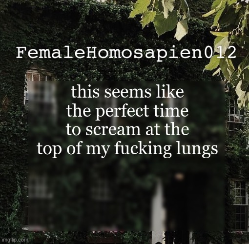 FemaleHomosapien012 | this seems like the perfect time to scream at the top of my fucking lungs | image tagged in femalehomosapien012 | made w/ Imgflip meme maker