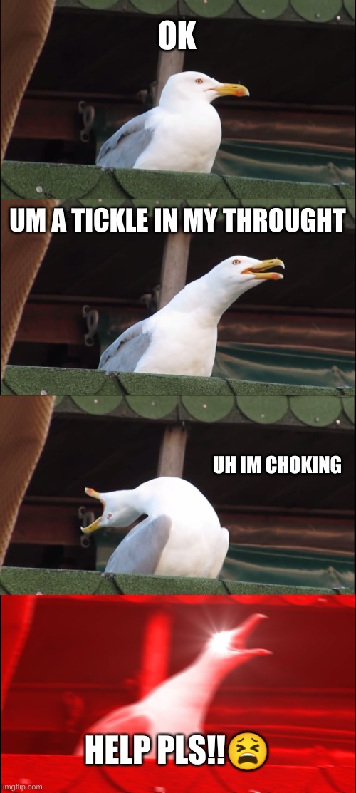 Inhaling Seagull Meme | OK; UM A TICKLE IN MY THROUGHT; UH IM CHOKING; HELP PLS!!😫 | image tagged in memes,inhaling seagull | made w/ Imgflip meme maker