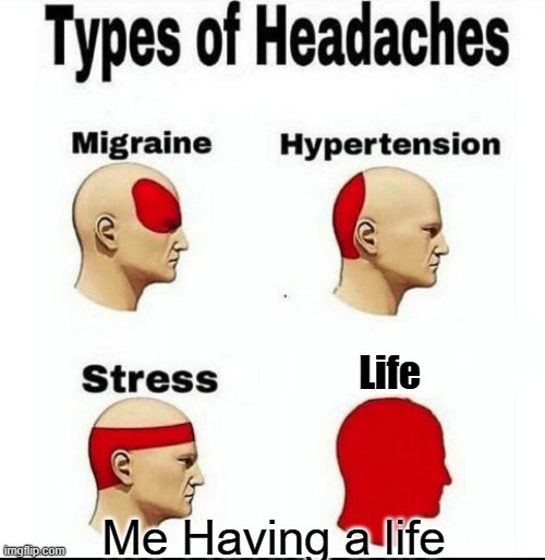 Types of Headaches meme | Life; Me Having a life | image tagged in types of headaches meme | made w/ Imgflip meme maker