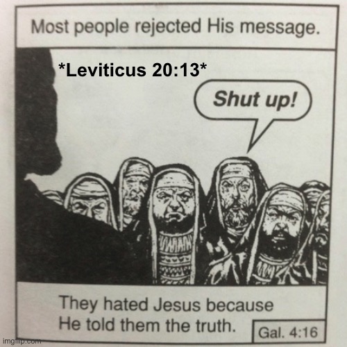 Balls | *Leviticus 20:13* | image tagged in they hated jesus because he told them the truth,balls,no homo | made w/ Imgflip meme maker