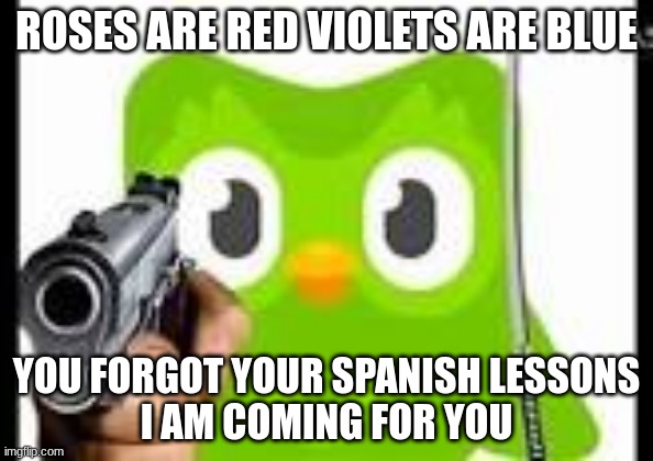 Duolingo isn't playing- | ROSES ARE RED VIOLETS ARE BLUE; YOU FORGOT YOUR SPANISH LESSONS
I AM COMING FOR YOU | image tagged in doulingo holding a gun | made w/ Imgflip meme maker