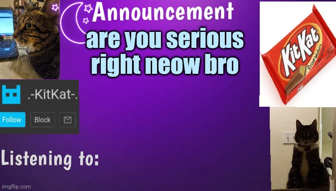 Kitty's announcment temp V3 | are you serious right neow bro | image tagged in kitty's announcment temp v3 | made w/ Imgflip meme maker