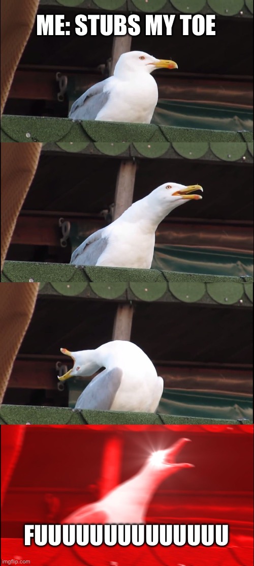 Uh oh. | ME: STUBS MY TOE; FUUUUUUUUUUUUUU | image tagged in memes,inhaling seagull | made w/ Imgflip meme maker