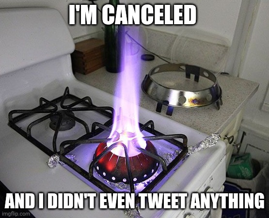 Banned | I'M CANCELED; AND I DIDN'T EVEN TWEET ANYTHING | image tagged in wok gas burner stove | made w/ Imgflip meme maker