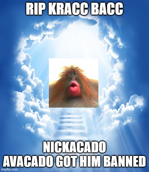 this sounds like a joke, but kracc bacc is literally deleted. RIP | RIP KRACC BACC; NICKACADO AVACADO GOT HIM BANNED | image tagged in heaven | made w/ Imgflip meme maker
