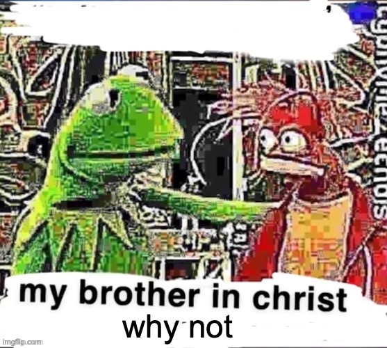 My brother in Christ | why not | image tagged in my brother in christ | made w/ Imgflip meme maker