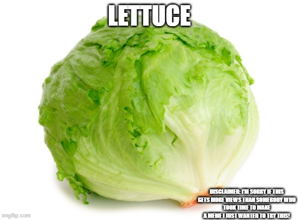 Lettuce | LETTUCE; DISCLAIMER: I'M SORRY IF THIS
GETS MORE VIEWS THAN SOMEBODY WHO
TOOK TIME TO MAKE A MEME I JUST WANTED TO TRY THIS! | image tagged in lettuce | made w/ Imgflip meme maker