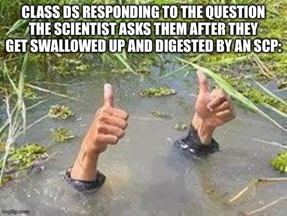 They’re doing fine | CLASS DS RESPONDING TO THE QUESTION THE SCIENTIST ASKS THEM AFTER THEY GET SWALLOWED UP AND DIGESTED BY AN SCP: | image tagged in this is fine no problem | made w/ Imgflip meme maker