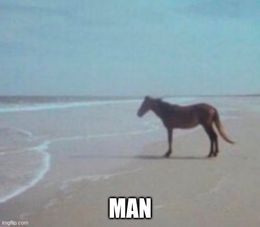 Horse on Beach Man | MAN | image tagged in horse on beach man | made w/ Imgflip meme maker