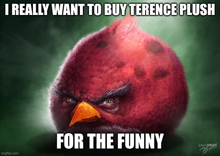 Real Terrence | I REALLY WANT TO BUY TERENCE PLUSH; FOR THE FUNNY | image tagged in real terrence | made w/ Imgflip meme maker