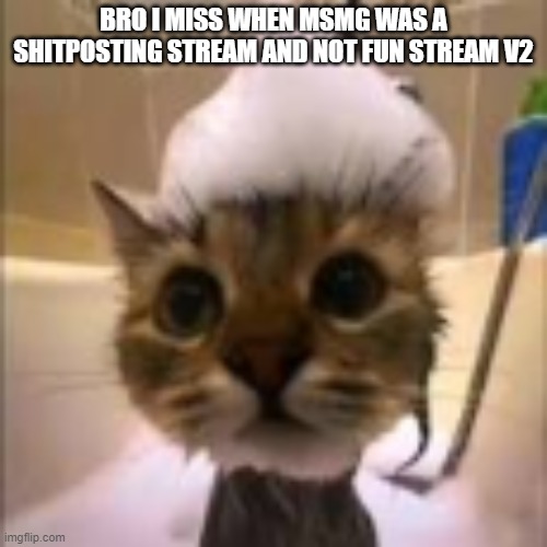 His dumbass is NOT taking a shower!!! | BRO I MISS WHEN MSMG WAS A SHITPOSTING STREAM AND NOT FUN STREAM V2 | image tagged in his dumbass is not taking a shower | made w/ Imgflip meme maker