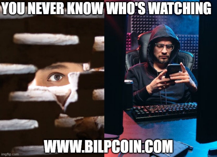 YOU NEVER KNOW WHO'S WATCHING; WWW.BILPCOIN.COM | made w/ Imgflip meme maker