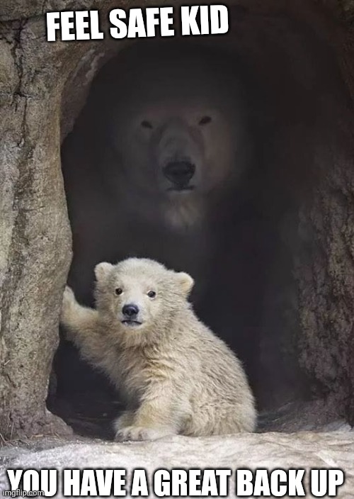 mom bear | FEEL SAFE KID; YOU HAVE A GREAT BACK UP | image tagged in mom bear | made w/ Imgflip meme maker