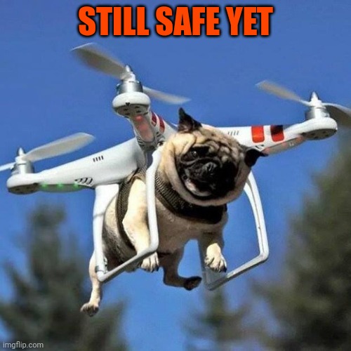 Flying Pug | STILL SAFE YET | image tagged in flying pug | made w/ Imgflip meme maker