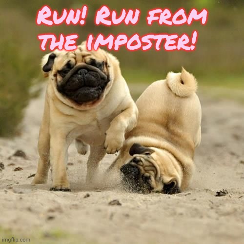 RUN! pugs | Run! Run from the imposter! | image tagged in run pugs | made w/ Imgflip meme maker