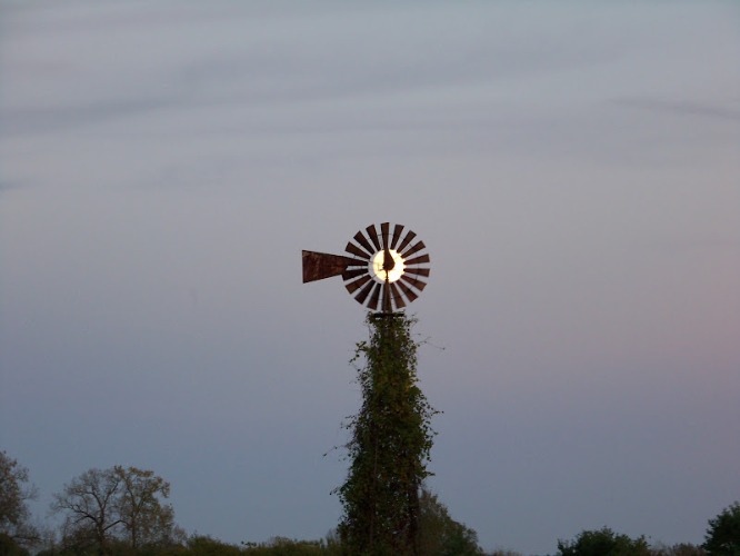 I waited for over an hour for the moon to line up with the windmill. | image tagged in moon,windmill | made w/ Imgflip meme maker