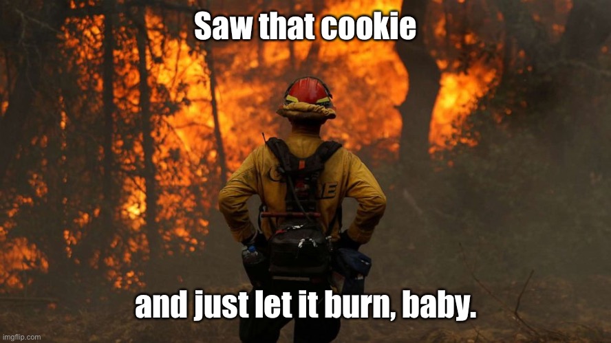 fire fighter | Saw that cookie and just let it burn, baby. | image tagged in fire fighter | made w/ Imgflip meme maker