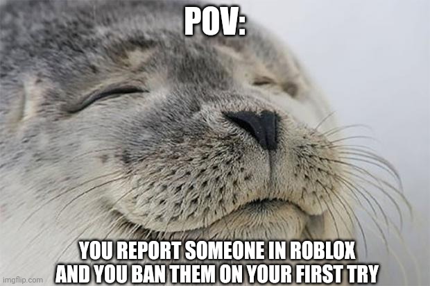 Satisfied seal | POV:; YOU REPORT SOMEONE IN ROBLOX AND YOU BAN THEM ON YOUR FIRST TRY | image tagged in memes,satisfied seal | made w/ Imgflip meme maker