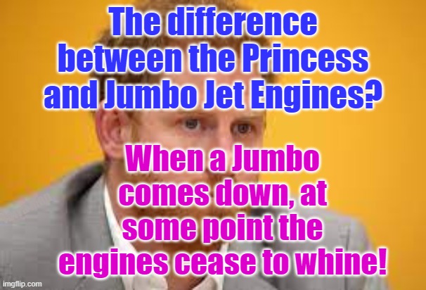 Princess Harry | The difference between the Princess and Jumbo Jet Engines? When a Jumbo comes down, at some point the engines cease to whine! Yarra Man | image tagged in meghan,princess | made w/ Imgflip meme maker