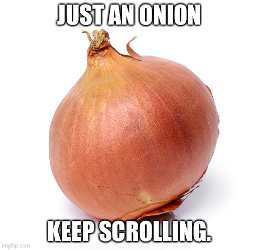 Just an onion. | JUST AN ONION; KEEP SCROLLING. | image tagged in onion | made w/ Imgflip meme maker