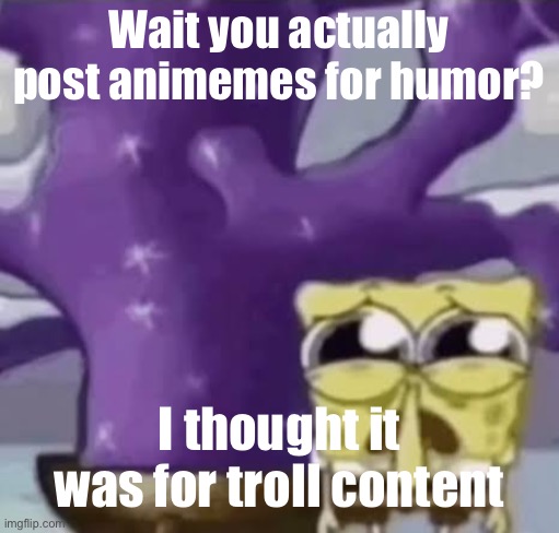 Zad Spunchbop | Wait you actually post animemes for humor? I thought it was for troll content | image tagged in zad spunchbop | made w/ Imgflip meme maker