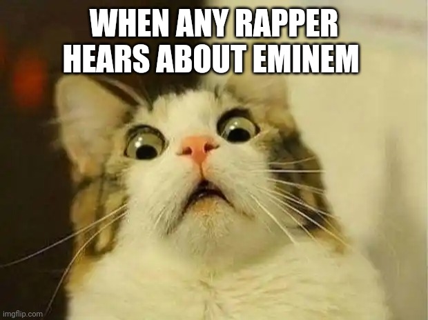 Scared Cat Meme | WHEN ANY RAPPER HEARS ABOUT EMINEM | image tagged in memes,scared cat | made w/ Imgflip meme maker