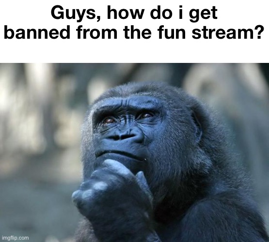 I need your help. | Guys, how do i get banned from the fun stream? | made w/ Imgflip meme maker