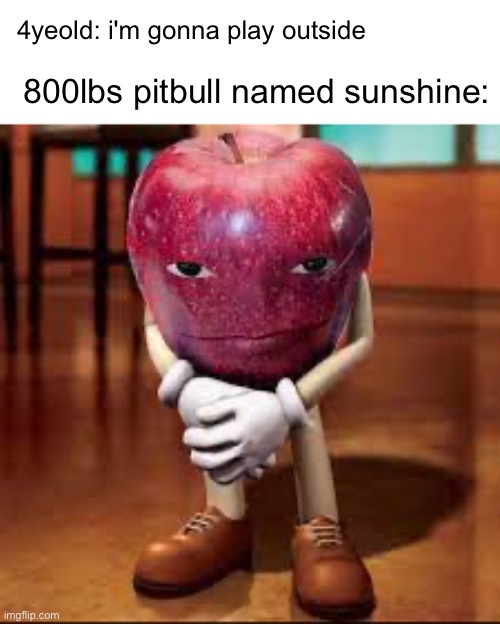dog |  4yeold: i'm gonna play outside; 800lbs pitbull named sunshine: | image tagged in rizz apple,pitbull,violent,crime,kids | made w/ Imgflip meme maker