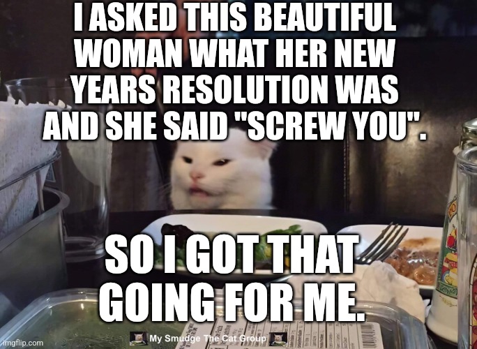 I ASKED THIS BEAUTIFUL WOMAN WHAT HER NEW YEARS RESOLUTION WAS AND SHE SAID "SCREW YOU". SO I GOT THAT GOING FOR ME. | image tagged in smudge the cat | made w/ Imgflip meme maker