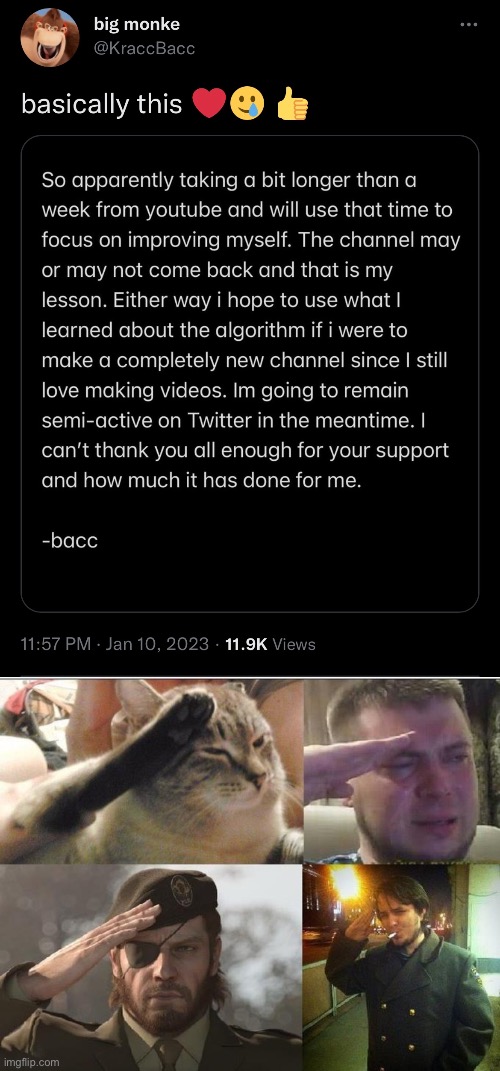 Whether you love or hate his content, Kracc Bacc didn’t deserve this | image tagged in ozon's salute,nikocado avocado,le monke,youtube,memes | made w/ Imgflip meme maker