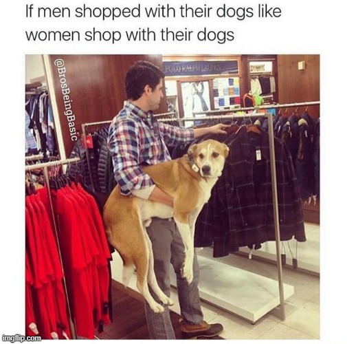 image tagged in repost | made w/ Imgflip meme maker