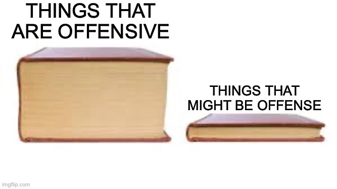Read these books and become a feminist. | THINGS THAT ARE OFFENSIVE; THINGS THAT MIGHT BE OFFENSE | image tagged in big book small book | made w/ Imgflip meme maker