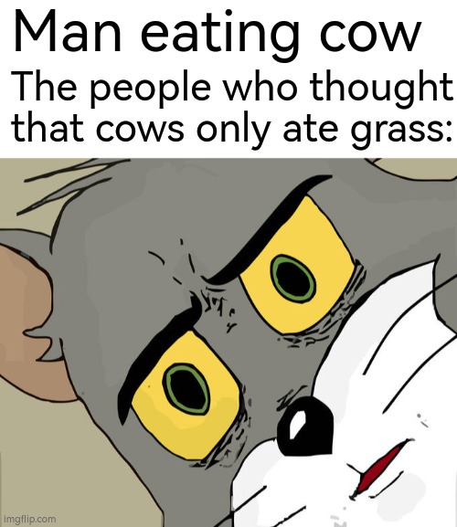 Man eating cow; The people who thought that cows only ate grass: | image tagged in blank white template,memes,unsettled tom,cow,idk | made w/ Imgflip meme maker