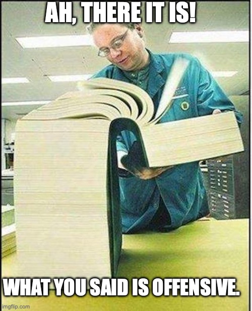 big book | AH, THERE IT IS! WHAT YOU SAID IS OFFENSIVE. | image tagged in big book | made w/ Imgflip meme maker