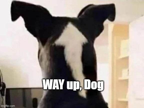 WAY up, Dog | made w/ Imgflip meme maker