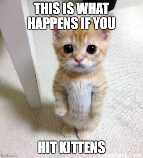 Cute Cat | THIS IS WHAT HAPPENS IF YOU; HIT KITTENS | image tagged in memes,cute cat | made w/ Imgflip meme maker