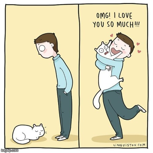 A Cat Guys Way Of Thinking | image tagged in memes,comics,cats,sleeping,omg,i love you | made w/ Imgflip meme maker