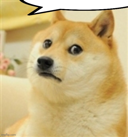 Sad Doge | image tagged in sad doge | made w/ Imgflip meme maker