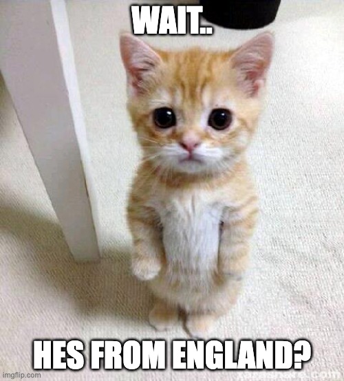 L | WAIT.. HES FROM ENGLAND? | image tagged in memes,cute cat | made w/ Imgflip meme maker
