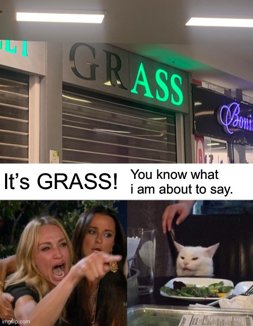 It’s GRASS! You know what i am about to say. | image tagged in memes,woman yelling at cat,signs,funny signs,funny,you had one job | made w/ Imgflip meme maker