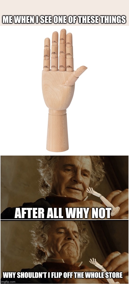 Wooden hand go brrrrr | ME WHEN I SEE ONE OF THESE THINGS; AFTER ALL WHY NOT; WHY SHOULDN’T I FLIP OFF THE WHOLE STORE | image tagged in bilbo - why shouldn t i keep it | made w/ Imgflip meme maker