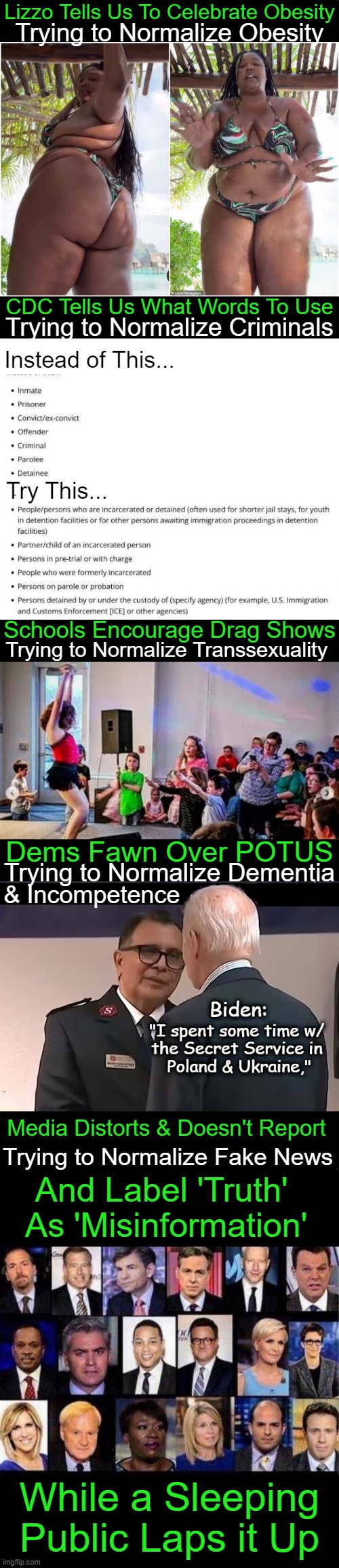Normalizing The Abnormal | Lizzo Tells Us To Celebrate Obesity; Trying to Normalize Obesity; Partisan Politics Prevails
As a Sleeping Public; CDC Tells Us What Words To Use; Trying to Normalize Criminals; Instead of This... Try This... Schools Encourage Drag Shows; Trying to Normalize Transsexuality; Dems Fawn Over POTUS; Trying to Normalize Dementia; & Incompetence; Media Distorts & Doesn't Report; Trying to Normalize Fake News; And Label 'Truth' 
As 'Misinformation'; While a Sleeping Public Laps it Up | image tagged in politics,obesity,criminals,media,new normal,political humor | made w/ Imgflip meme maker
