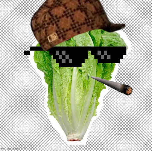 Lettuce but Mafia | image tagged in romaine lettuce | made w/ Imgflip meme maker