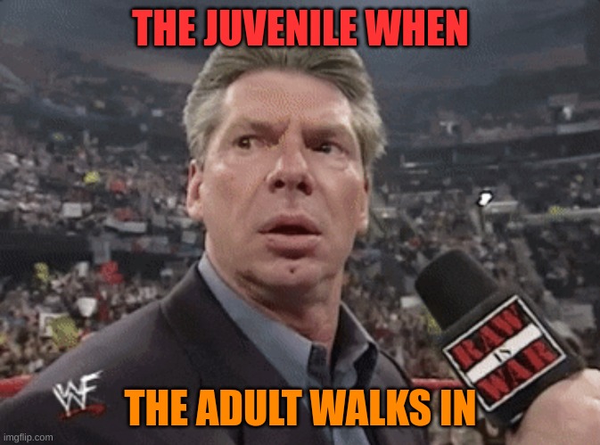X when Y walks in | THE JUVENILE WHEN; THE ADULT WALKS IN | image tagged in x when y walks in | made w/ Imgflip meme maker