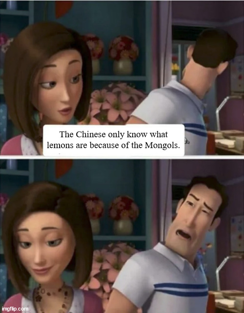Cultural exchange moment | The Chinese only know what lemons are because of the Mongols. | image tagged in flawed logic blank | made w/ Imgflip meme maker