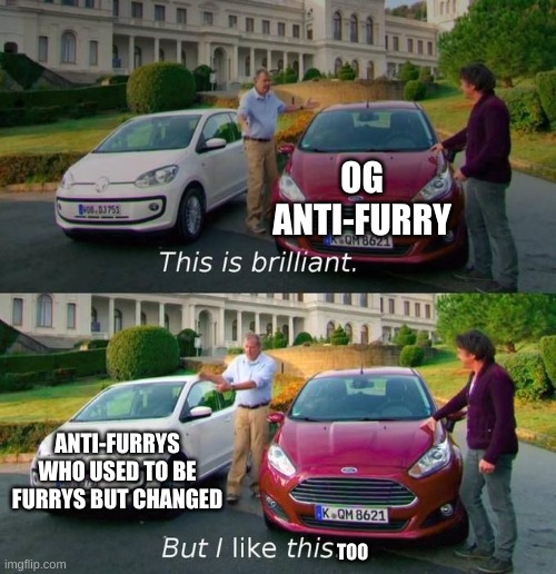 It proves that some are able to change...a little bit of hope is all we need | OG ANTI-FURRY; ANTI-FURRYS WHO USED TO BE FURRYS BUT CHANGED; TOO | image tagged in this is brilliant but i like this | made w/ Imgflip meme maker