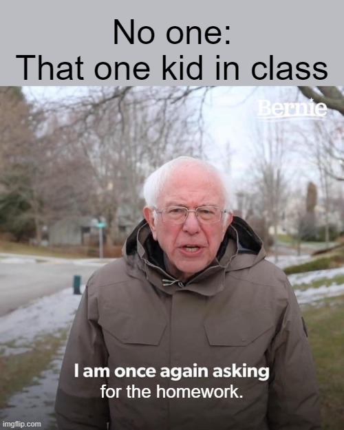 Bernie I Am Once Again Asking For Your Support Meme | No one:
That one kid in class; for the homework. | image tagged in school | made w/ Imgflip meme maker